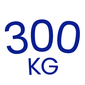 Icon 300 kg