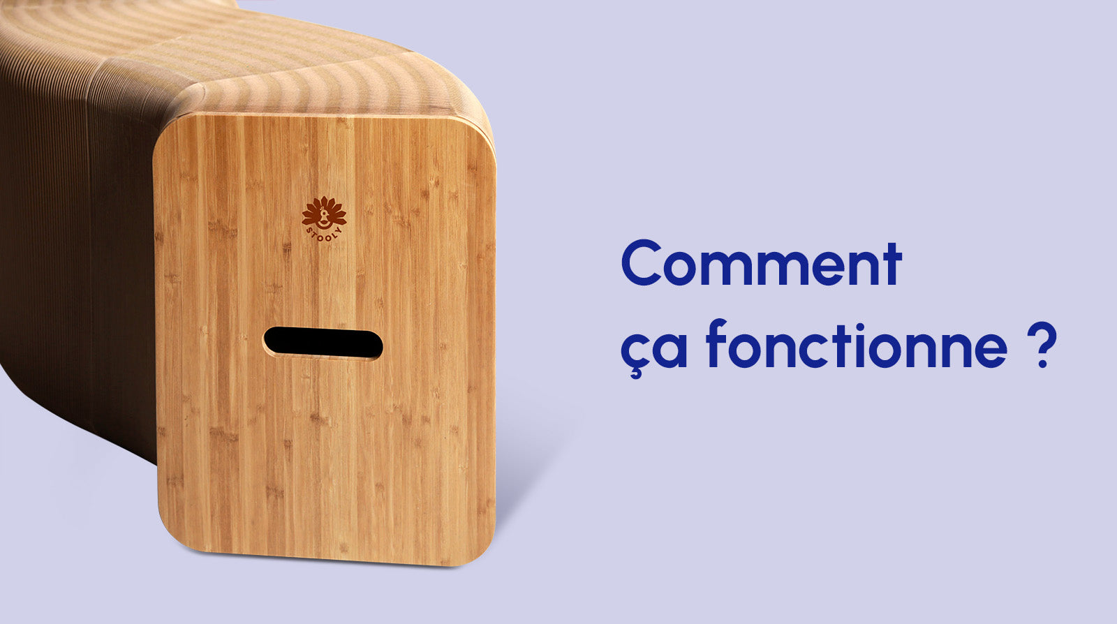 Le banc marron en carton